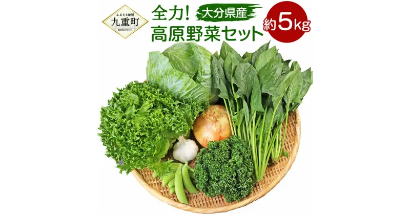 【ふるさと納税】大分県産 全力！ 高原野菜セット 約5kg 5～8品 種類おまかせ フリルレタス ほうれん草 パセリ スナップえんどう トウモロコシ 高原 野菜 採れたて 新鮮 九州産 九重町 大分県 冷蔵 送料無料