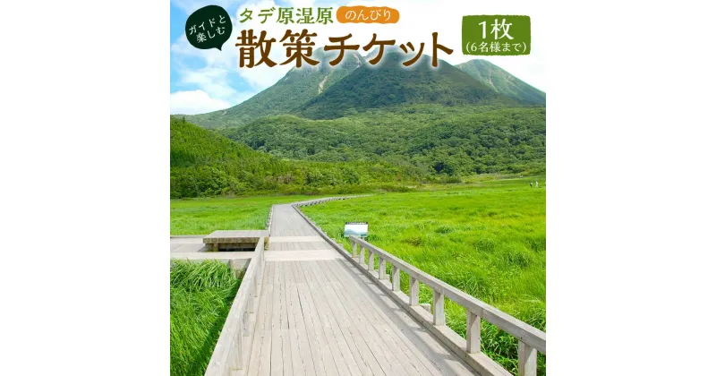 【ふるさと納税】 ガイドと楽しむタデ原(たでわら)湿原 のんびり散策 チケット 1枚（6名様まで） 四季 景色 散策 花 観光 旅行 行楽 【有効期限：発行日より1年】 送料無料