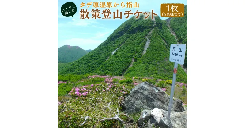 【ふるさと納税】 ガイドと楽しむタデ原(たでわら) 湿原から指山 登山 散策 チケット 1枚（6名様まで） 4時間コース 四季 景色 散策 湧水 観光 旅行 行楽 【有効期限：発行日より1年】 送料無料