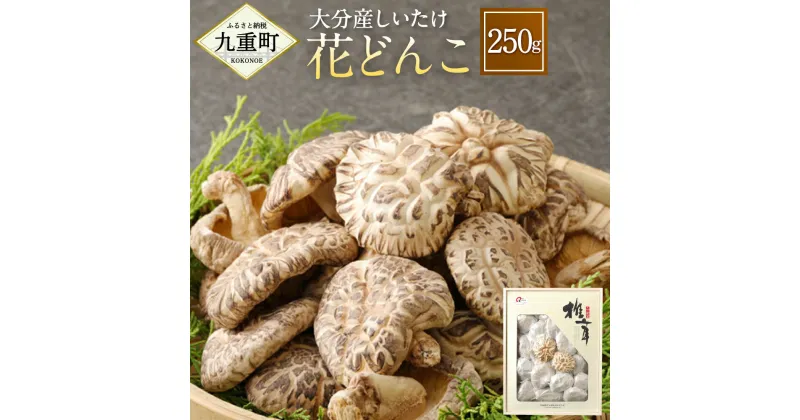 【ふるさと納税】大分産 しいたけ 花どんこ 250g 椎茸 きのこ キノコ 茸 春 国産 九州産 大分県産 送料無料