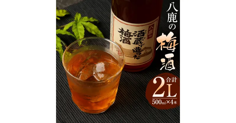 【ふるさと納税】やつしか 梅酒 セット 合計2L 500ml×4本 15度 お酒 アルコール 国産 九州産 大分県産 送料無料