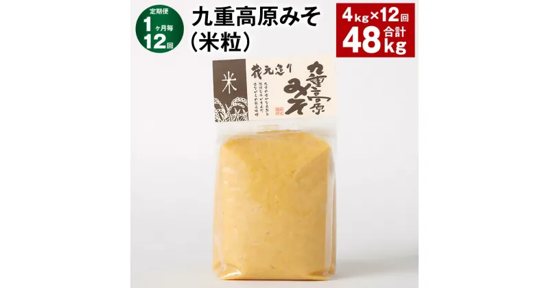 【ふるさと納税】【定期便】【1ヶ月毎12回】九重高原みそ（米粒） 1kg×4袋 計48kg（4kg×12回） 米みそ 味噌 甘口 大豆 手作り 調味料 大分県産 九州 国産 大分県 九重町 送料無料