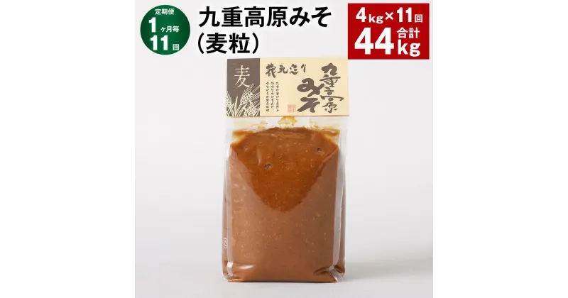 【ふるさと納税】【定期便】【1ヶ月毎11回】九重高原みそ（麦粒） 1kg×4袋 計44kg（4kg×11回） 麦みそ 味噌 赤色系甘口 大麦 大豆 おかず味噌 調味料 大分県産 九州 国産 大分県 九重町 送料無料