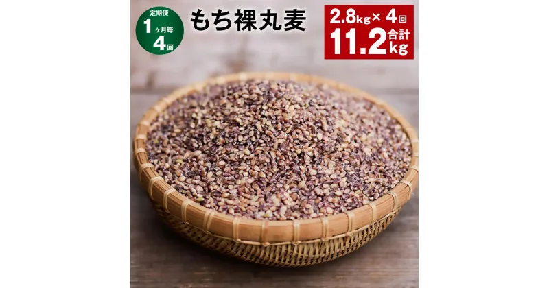 【ふるさと納税】【定期便】【1ヶ月毎4回】もち裸丸麦 計11.2kg（2.8kg×4回）麦 もち麦 丸麦 雑穀 大麦 食物繊維 腸活 国産 九州 大分県 九重町 送料無料