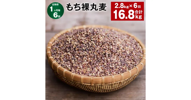 【ふるさと納税】【定期便】【1ヶ月毎6回】もち裸丸麦 計16.8kg（2.8kg×6回）麦 もち麦 丸麦 雑穀 大麦 食物繊維 腸活 国産 九州 大分県 九重町 送料無料