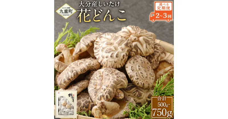 【ふるさと納税】【2～3ヶ月定期便】大分産 しいたけ 花どんこ 250g 椎茸 きのこ キノコ 茸 選べる 定期便 2～3回 国産 九州産 大分県産 送料無料