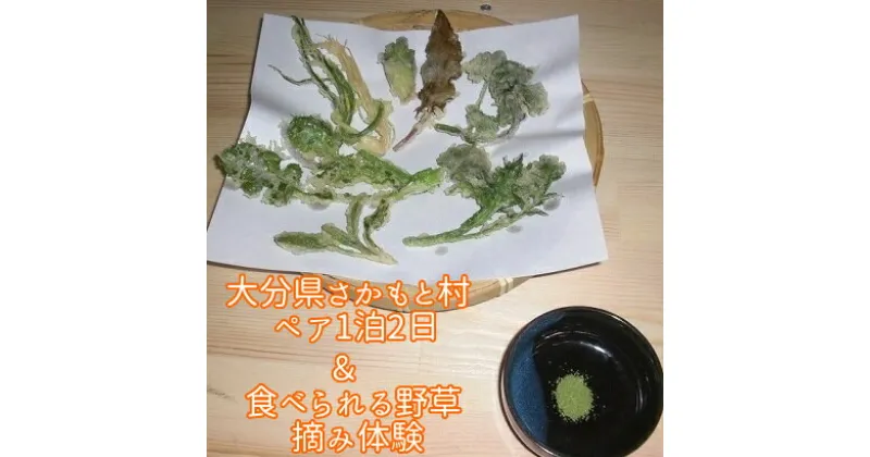 【ふるさと納税】 大分県さかもと村ペア1泊2日&食べられる野草摘み体験 大分県 さかもと村 ペア 1泊2日 体験 宿泊 夕食 朝食 古民家 野草摘み 野草 天ぷら 自家製野菜 創作料理