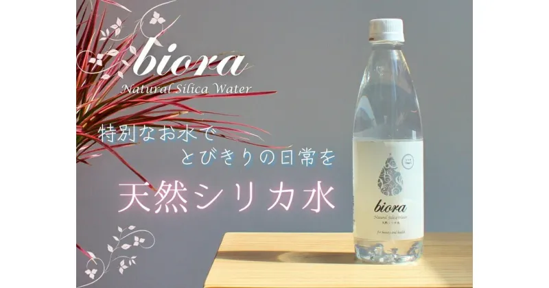 【ふるさと納税】 biora天然シリカ水 500ml×48本(2ケース) 天然シリカ水 シリカ ミネラルウォーター 軟水 500ml 48本 大分県 玖珠町 採水 天然水 添加物不使用 美容 健康 継続 毎日 ミネラル 美容飲料 九州