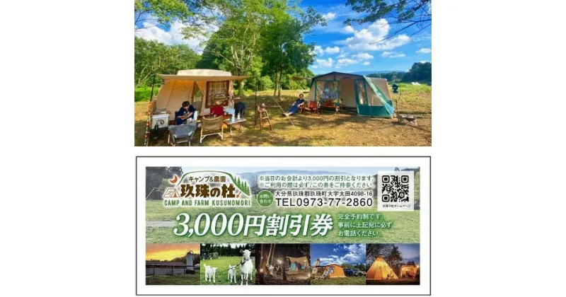 【ふるさと納税】 キャンプ＆農園玖珠の杜で使える3,000円チケット キャンプ チケット 利用券 旅行 アウトドア バーベキュー BBQ 温泉 野菜 宿泊 畑 収穫 農業体験 星空 大自然 牧場 薪 テント 玖珠の杜 九州 大分 温泉施設