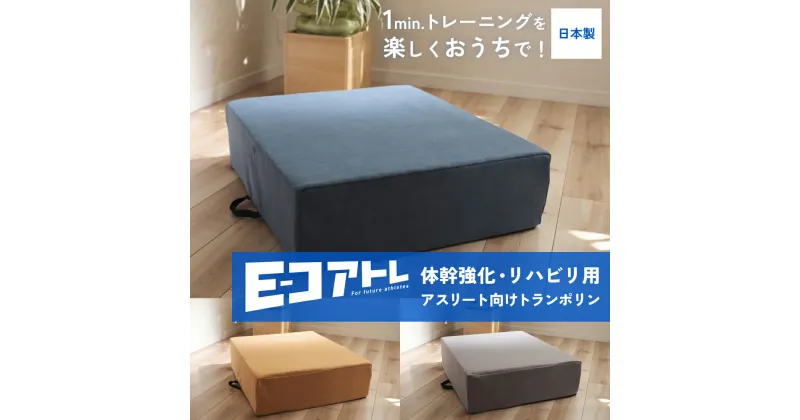 【ふるさと納税】 「コアトレ」 体幹強化 リハビリ 用 トランポリン 体幹 強化 リハビリ トランポリン 体幹トレーニング ソファ クッション 自宅運動 室内運動 運動不足解消 基礎トレーニング