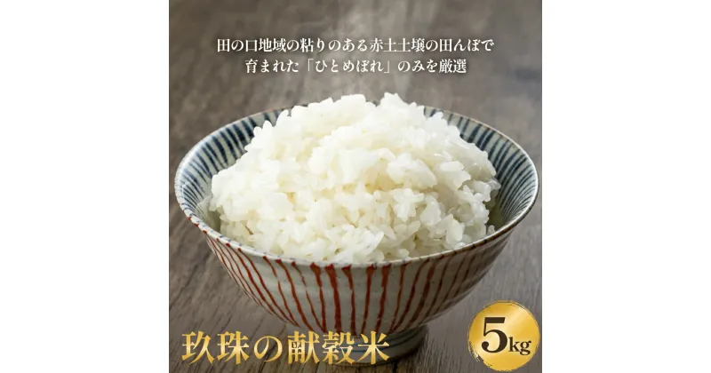 【ふるさと納税】令和6年産 ひとめぼれ 【玖珠の献穀米5kg】 5キロ 大分県 玖珠 こめ お米 白米 新米 献穀米