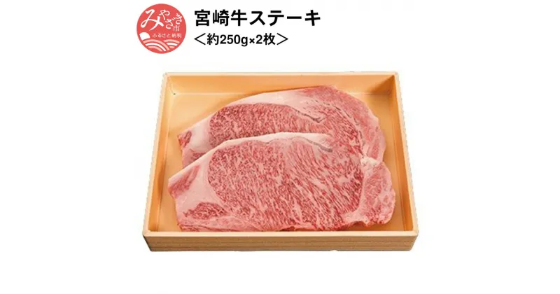 【ふるさと納税】宮崎牛ステーキ＜約250g×2枚＞ 和牛 お肉 牛肉 食品 国産 全国和牛能力共進会 オリンピック 4大会連続最高賞受賞 厳選 A4等級 綺麗 霜降り肉 冷凍 宮崎県 宮崎市 送料無料