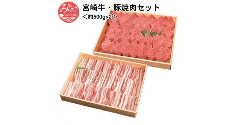 【ふるさと納税】宮崎牛・豚焼肉セット＜約500g×2＞ 霜降り 豊潤 お肉 牛肉 和牛 食品 宮崎ブランドポーク 畜産物 冷凍 お弁当 宮崎県 宮崎市 送料無料