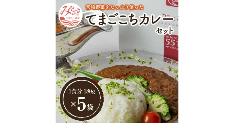 【ふるさと納税】＜ご当地カレー＞てまごこちカレーセット 宮崎食研 人気 レトルトカレー ラポール ・ド・クニトミ 完全極秘 独自レシピ 野菜 旨味 スパイス 鶏もも肉 チキンスープ 宮崎県 宮崎市 送料無料