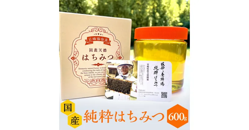 【ふるさと納税】数量限定 国産ハチミツ (600g×1本) 宮崎県産純粋ハチミツ | はちみつ 蜂蜜 ハニー お取り寄せ 国産 純粋はちみつ 純粋ハチミツ 九州 お土産 宮崎土産 |