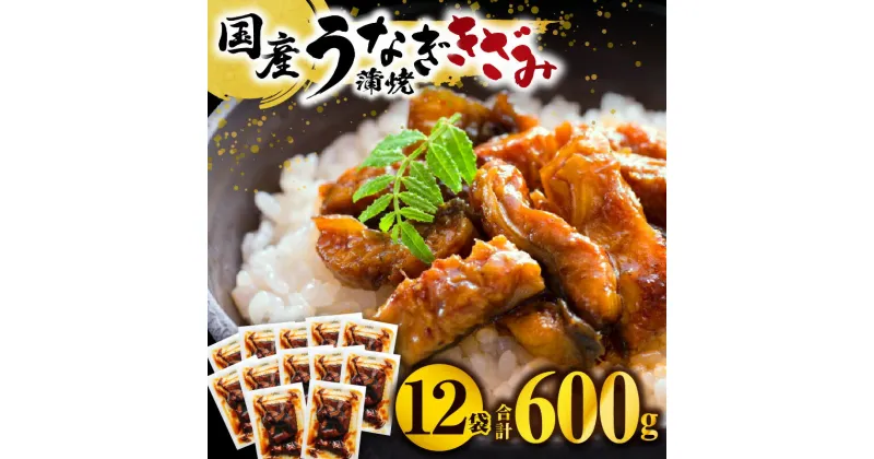 【ふるさと納税】《レビューキャンペーン》国産うなぎ蒲焼きざみ6袋(計300g)、うなぎ蒲焼きざみ(ごぼう入)6袋(計300g)合計600g 鰻 きざみ ひつまぶし お手軽 きざみうなぎ セット おかず お取り寄せ 個包装 カット済 冷凍食品 ご当地グルメ ギフト