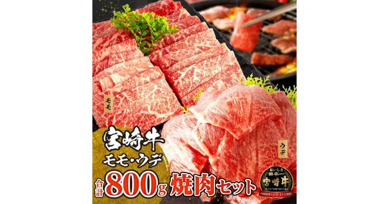 【ふるさと納税】 《レビューキャンペーン》 宮崎牛 モモ ウデ 焼肉 セット 各400g(計800g) | ミヤチク 牛肉 宮崎牛 焼肉 焼き肉 肉 にく おにく 国産牛 和牛 冷凍 小分け アウトドア 内閣総理大臣賞4大会連続受賞 和牛オリンピック | お肉