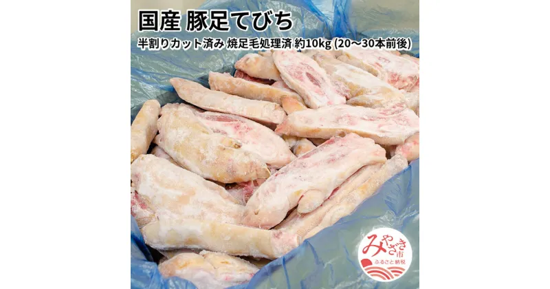 【ふるさと納税】国産 豚足てびち 半割りカット済み 焼足毛処理済 冷凍 約10kg (20〜30本前後) 豚足 てびち コラーゲン トロトロ プルプル 国産豚肉 豚肉 惣菜 グルメ お取り寄せグルメ 宮崎県 宮崎市 送料無料