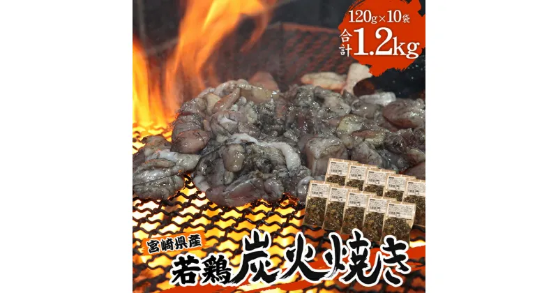 【ふるさと納税】宮崎の名店「宮崎肉魚青木」県産若鶏炭火焼き しお 冷凍パック 120g×10袋 鶏 肉 おつまみ 宮崎ご当地グルメ 特産品 キャンプ BBQ 電子レンジ 湯煎 簡単調理 宮崎県 宮崎市 送料無料