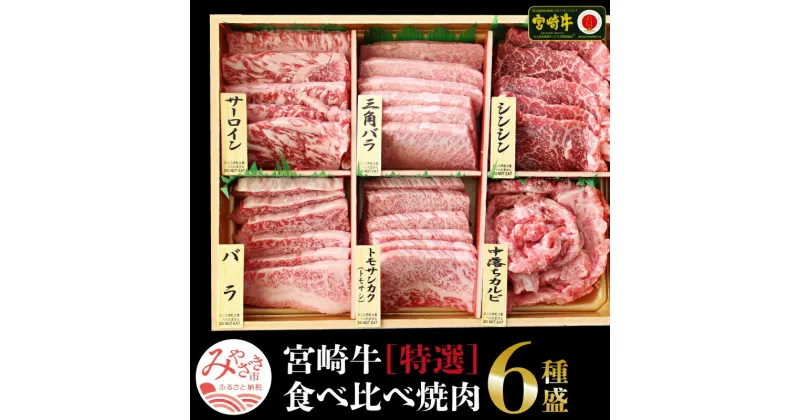 【ふるさと納税】宮崎牛 特選 食べ比べ 6種盛り 600g（100g×6） 最高級 黒毛和牛 オススメ 部位 焼肉用 ロース カルビ 赤身 お肉 国産牛 食品 畜産物 宮崎県 宮崎市 送料無料