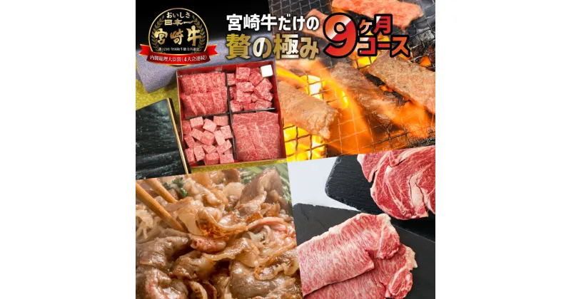 【ふるさと納税】定期便 宮崎牛 食べ比べ 贅の極み 9ヶ月コース 最高級 黒毛和牛 しゃぶしゃぶ すき焼き スライス BBQ コンビセット お肉 国産牛 食品 畜産物 宮崎県 宮崎市 送料無料