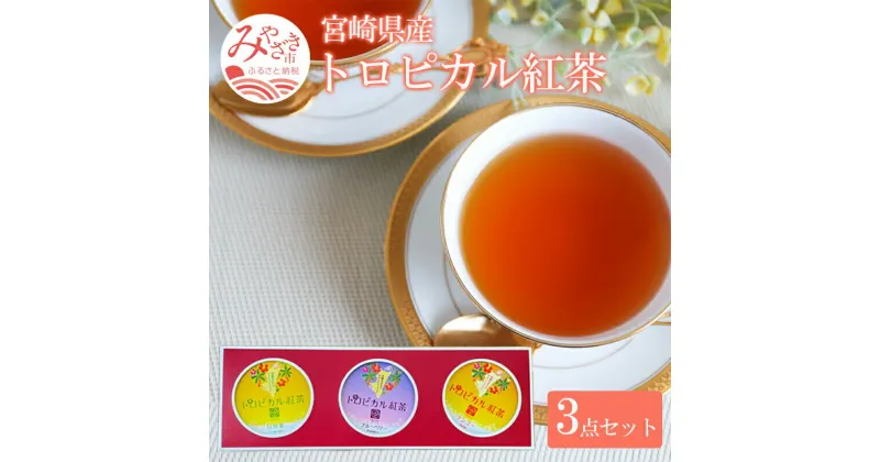 【ふるさと納税】トロピカル紅茶 3点 セット | 7000円 7000 七千円 | 飲料 飲料類 お茶 マンゴー ブルーベリー 日向夏 フルーツ 飲み比べ 飲みくらべ セット ティータイム ギフト お土産 土産 手土産 プレゼント 誕生日 宮崎県 宮崎市 送料無料