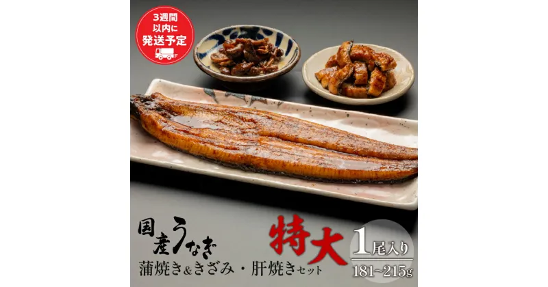 【ふるさと納税】国産うなぎ 蒲焼き 特大サイズ（181〜215g）・きざみ・肝焼きセット 旨味 凍結技術 自慢 国産鰻 希少 九州産 白焼き たれ 蒲焼きざみ さんしょう お土産 ギフト 宮崎県 宮崎市 送料無料