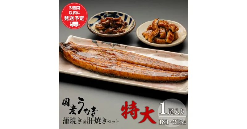 【ふるさと納税】国産うなぎ 蒲焼き 特大サイズ(181〜215g)・肝焼きセット たれ 旨味 凍結技術 自慢 国産鰻 希少 丁寧 さんしょう 空パック お土産 ギフト 鰻 宮崎県 宮崎市 送料無料