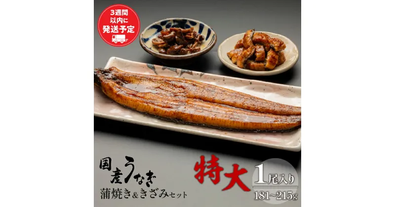 【ふるさと納税】国産うなぎ蒲焼き特大サイズ(181〜215g)・蒲焼きざみセット 旨味 凍結技術 自慢 国産鰻 九州産 白焼き 料理 レンジ 湯煎 ご家族 さんしょう たれ お土産 ギフト 宮崎県 宮崎市 送料無料