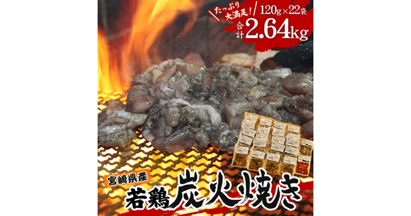 【ふるさと納税】宮崎県産 若鶏 炭火焼 計2.64kg たっぷり22パック 宮崎の名店「宮崎肉魚青木」 柚子胡椒 プロ野球 キャンプシーズン みそ 辛みそ お肉 国産 食品 畜産物 宮崎県 宮崎市 送料無料