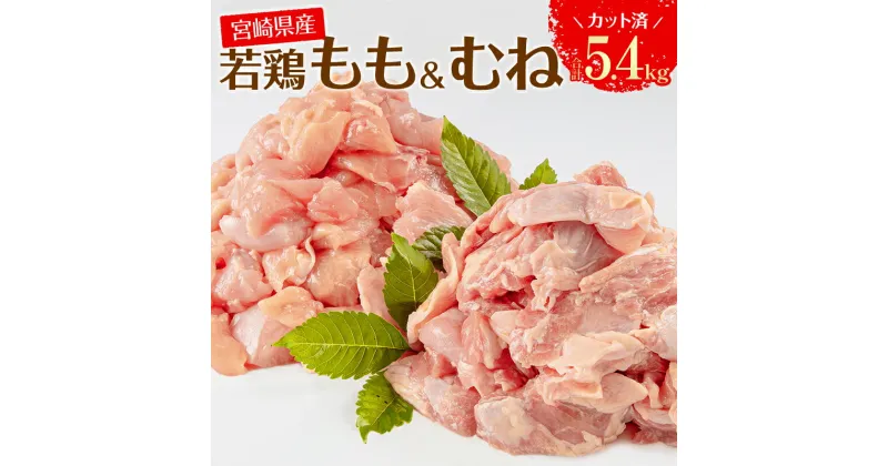 【ふるさと納税】宮崎県産 若鶏 もも むね 切り身 小分け パック 合計5.4kg 鶏もも 鶏むね 鶏肉 ヘルシー ジューシー 唐揚げ チキン南蛮 揚げ物 サラダチキン 棒棒鶏 冷凍 宮崎県 宮崎市 送料無料