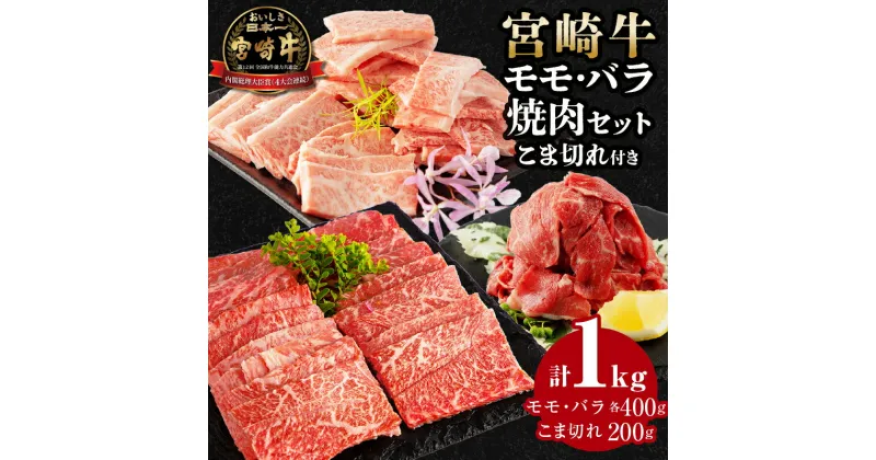 【ふるさと納税】宮崎牛 モモ 400g×1 バラ 400g×1 焼肉 宮崎県産 黒毛和牛 こま切 モモ焼れ 100g×2 セット 合計1kg ミヤチク 赤身 日本食肉格付協会 A5等級 A4等級 全国和牛能力共進会 お肉 牛肉 宮崎県 宮崎市 送料無料 お肉