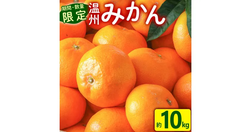 【ふるさと納税】 期間限定 数量限定 ネイバーフッドのみかん 約10kg 傷み補償 200g付き S〜Lサイズ 果物 果汁 みかん 温州 太陽の恵み 果肉 贅沢 つぶ感 清涼感 さわやかな香り 濃厚 ジューシー 糖度11度以上 フルーツ 旬 旬の果物 季節 宮崎県 宮崎市 送料無料