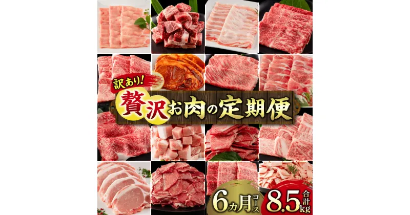 【ふるさと納税】【訳あり】《定期便》宮崎県産黒毛和牛・宮崎県産豚肉 贅沢6か月コース | ミヤチク 訳あり 定期便 和牛 牛肉 豚肉 国産 焼肉 すきやき 豚しゃぶ しゃぶしゃぶ肉 お楽しみ | お肉