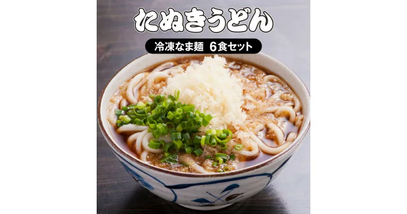 【ふるさと納税】 大盛うどん たぬきうどん 冷凍なま麺6食セット 冷凍なま麺 140g×6 つゆ 200cc×6 揚げ玉 17g×6 伝統の味 甘い出汁 イリコ 濃厚 ふっくら 柔らかい麺 宮崎県 宮崎市 送料無料