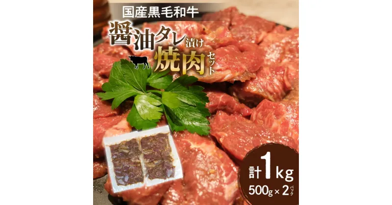 【ふるさと納税】 KIRISHIMA RANCH 国産 黒毛和牛 醤油 タレ漬け 焼肉セット 500g 2パック 毎月 数量限定 秘伝 梨タレ バーベキュー 焼肉丼 焼肉 セット 酵素の働き 牛肉 食品 冷凍 宮崎県 宮崎市 送料無料