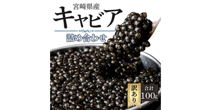 【ふるさと納税】 訳あり 宮崎県産 キャビア 本格熟成 フレッシュキャビア 厳選 詰め合わせ 合計 100g シロチョウザメ シベリアチョウザメ ベステルチョウザメ ロシアチョウザメ 宮崎県 宮崎市 送料無料