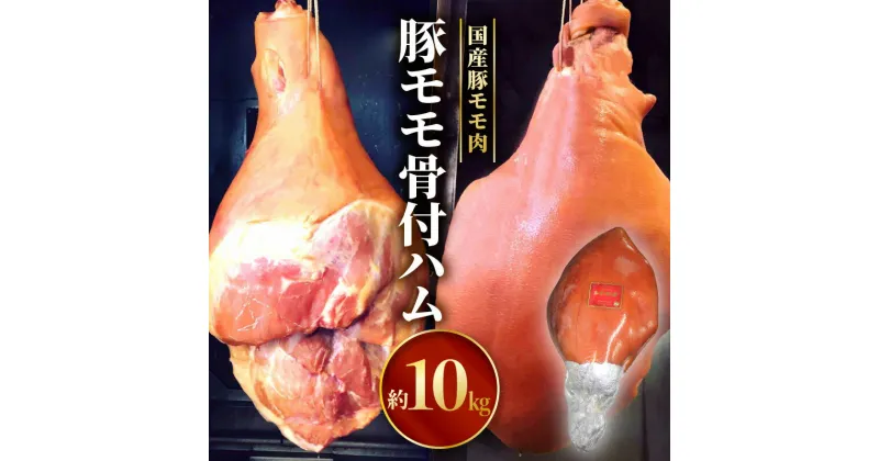 【ふるさと納税】豚 モモ 骨付 ハム 国産 豚肉 ボンインハム モモ肉 豚モモ スモーク 熟成 皮付き 骨付き 10kg 国産豚肉 国産豚 肉汁 冷蔵 グルメ お取り寄せ お取り寄せグルメ 宮崎県 宮崎市 送料無料