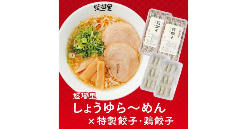 【ふるさと納税】悠瑠里 しょうゆら〜めん 4食 セット 悠瑠里特製餃子2P 鶏餃子2P スープ 麺 具 付き チャーシュー メンマ きくらげ 餃子 鶏餃子 国産野菜 宮崎県産 豚肉 使用 鶏肉 桜姫 ラーメンダレ おつまみ おかず グルメ お取り寄せ 冷凍 宮崎県 宮崎市 送料無料