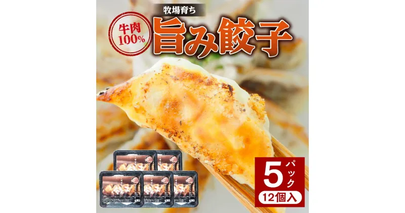 【ふるさと納税】 おすすめ 一品 ニラ ニンニク キャベツ 牛肉 100％ 牧場育ち 旨み 餃子 12個 5パック 大地 恵み 野菜 冷凍 コク ふんわり 小肉魂 宮崎県 宮崎市 送料無料