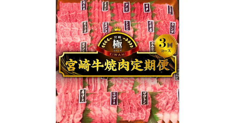 【ふるさと納税】極シリーズ 宮崎牛 焼肉 定期便 ウデ モモ バラ ロース 国産牛 黒毛和牛 定期 焼肉用 BBQ ブランド牛 最高級 肉 お肉 牛肉 牛 ウデ焼肉 モモ焼肉 バラ焼肉 ロース焼肉 人気 おすすめ グルメ お取り寄せ 宮崎県 宮崎市 送料無料