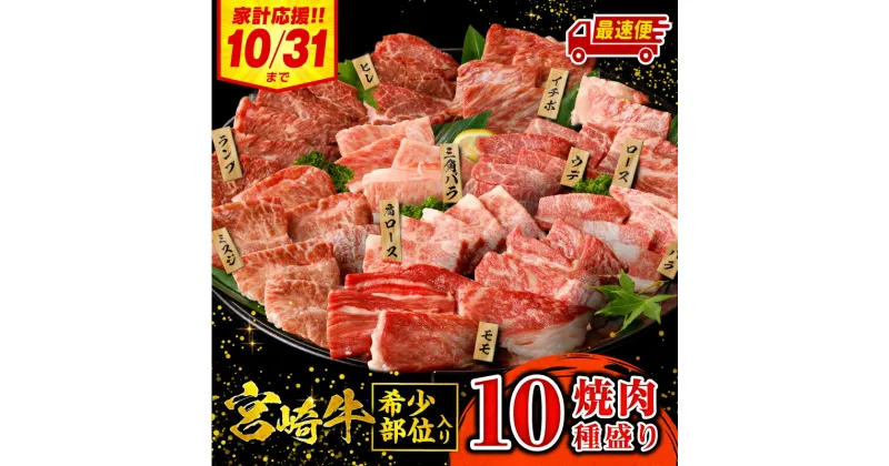 【ふるさと納税】 《選べる発送月!!》 宮崎牛 焼肉 10種 盛り合わせ 食べ比べ モモ ウデ ロース 肩ロース バラ ミスジ ランプ イチボ ヒレ 国産 牛肉 肉 宮崎 牛 お肉 国産牛 BBQ 希少部位 セット 人気 おすすめ 精肉 精肉セット 《レビューキャンペーン》 送料無料