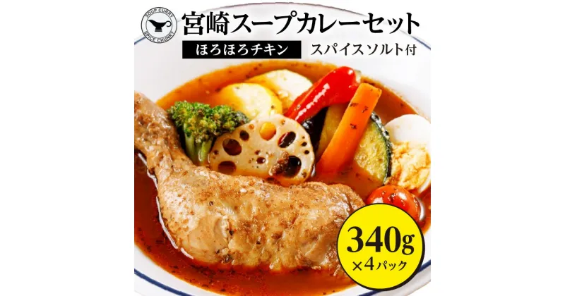 【ふるさと納税】宮崎 スープ カレー セット スープカレー ほろほろ チキン 真空 冷凍 パック 真空パック スパイス ソルト 地頭鶏だし 地頭鶏 みやざき地頭鶏 万能スパイス 骨付きチキン 丸ごと1本 オリジナルスパイス グルメ お取り寄せ 宮崎県 宮崎市 送料無料