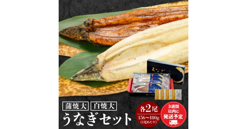 【ふるさと納税】白焼大 蒲焼大 各2尾 セット 国産ウナギ 国産 詰め合わせ 食べ比べ うなぎ 鰻の蒲焼き 蒲焼き 白焼き 大サイズ サイズ おかず 惣菜 ギフト 贈り物 グルメ 化粧箱 化粧箱入り たれ 塩 簡単調理 お取り寄せ 急速冷凍 冷凍 宮崎県 宮崎市 送料無料