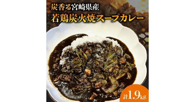 【ふるさと納税】炭香る 宮崎県産若どり 炭火焼 スープカレー 190g×10袋 計1.9kg 若鶏 炭火焼 カレー スープカレー 炭火 鶏肉 肉 国産鶏 お惣菜 惣菜 料理 食品 加工食品 アウトドア キャンプ カレーライス 冷凍 冷凍食品 簡単調理 湯煎 レンジ 宮崎県 宮崎市 送料無料