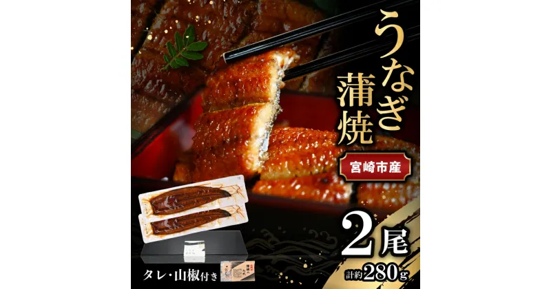 【ふるさと納税】宮崎県 宮崎市産 うなぎの蒲焼 約280g 約140g×2尾 タレ 山椒 セット うなぎ 蒲焼き うなぎ蒲焼き タレ付き 山椒付き 加工品 加工食品 惣菜 お惣菜 おかず グルメ おすすめ お取り寄せ お取り寄せグルメ ギフト 贈り物 ご褒美 宮崎県 宮崎市 送料無料