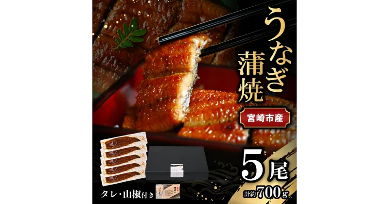 【ふるさと納税】宮崎県 宮崎市産 うなぎの蒲焼 約700g 約140g×5尾 タレ 山椒 セット うなぎ 蒲焼き うなぎ蒲焼き タレ付き 山椒付き 加工品 加工食品 惣菜 お惣菜 おかず グルメ おすすめ お取り寄せ お取り寄せグルメ ギフト 贈り物 ご褒美 宮崎県 宮崎市 送料無料