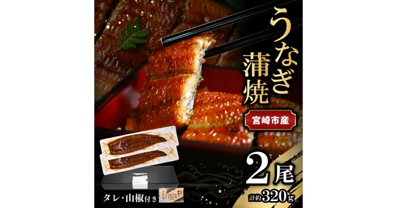 【ふるさと納税】宮崎県 宮崎市産 うなぎの蒲焼 約320g 約160g×2尾 タレ 山椒 セット うなぎ 蒲焼き うなぎ蒲焼き タレ付き 山椒付き 加工品 加工食品 惣菜 お惣菜 おかず グルメ おすすめ お取り寄せ お取り寄せグルメ ギフト 贈り物 ご褒美 宮崎県 宮崎市 送料無料