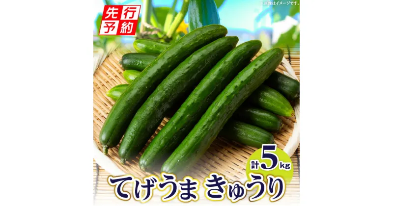 【ふるさと納税】【先行予約】てげうま きゅうり 5kg ひなたGAP 宮崎県産 野菜 生野菜 胡瓜 ウリ科 旬 新鮮 料理 アレンジ サラダ 漬物 酢の物 炒め物 きゅうりキムチ キムチ 冷やし中華 バンバンジー おつまみ つまみ 冷蔵 宮崎県 宮崎市 送料無料