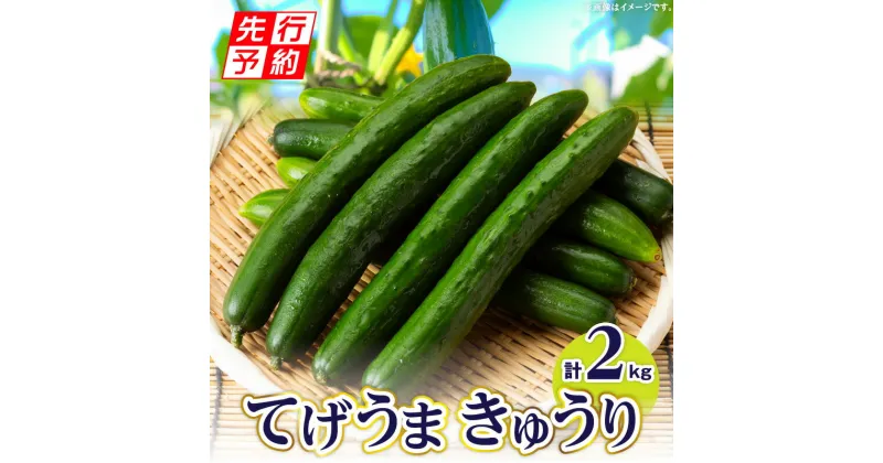 【ふるさと納税】【先行予約】てげうま きゅうり 2kg ひなたGAP 宮崎県産 野菜 生野菜 胡瓜 ウリ科 旬 新鮮 料理 アレンジ サラダ 漬物 酢の物 炒め物 きゅうりキムチ キムチ 冷やし中華 バンバンジー おつまみ つまみ 冷蔵 宮崎県 宮崎市 送料無料